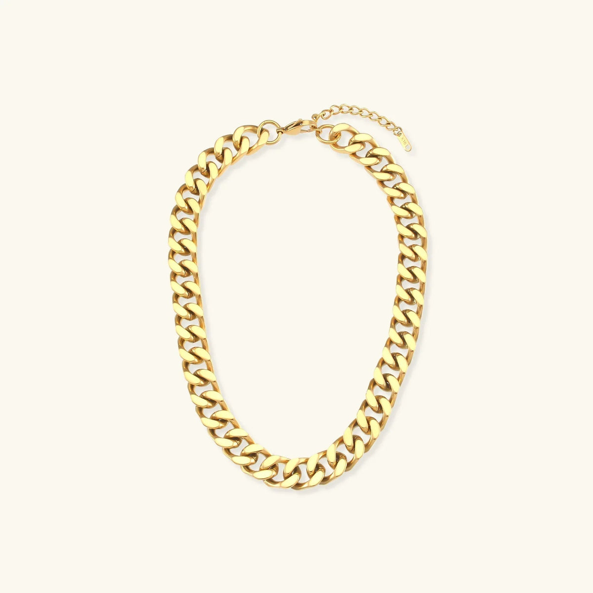 [AuraEcho]Gianna Chunky Chain Necklace