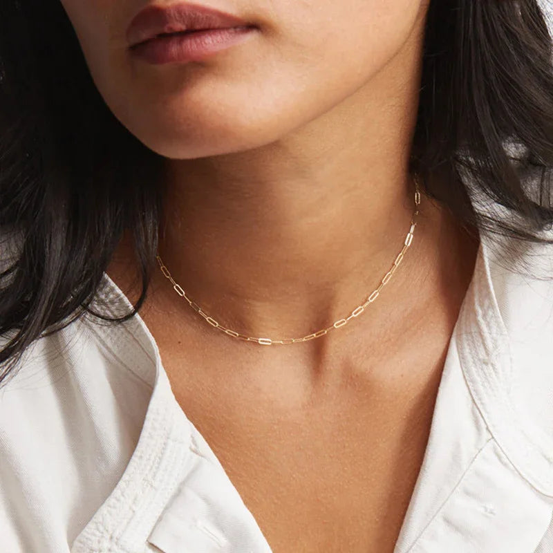 [AuraEcho]Nadia Paperclip Chain Necklace
