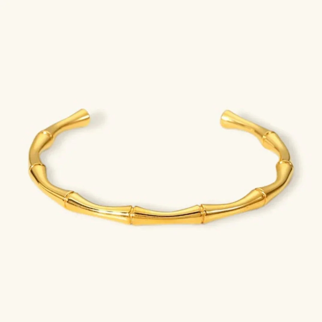 [AuraEcho]Brielle Gold Bangle