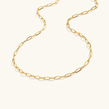 [AuraEcho]Amber Gold Chain Necklace