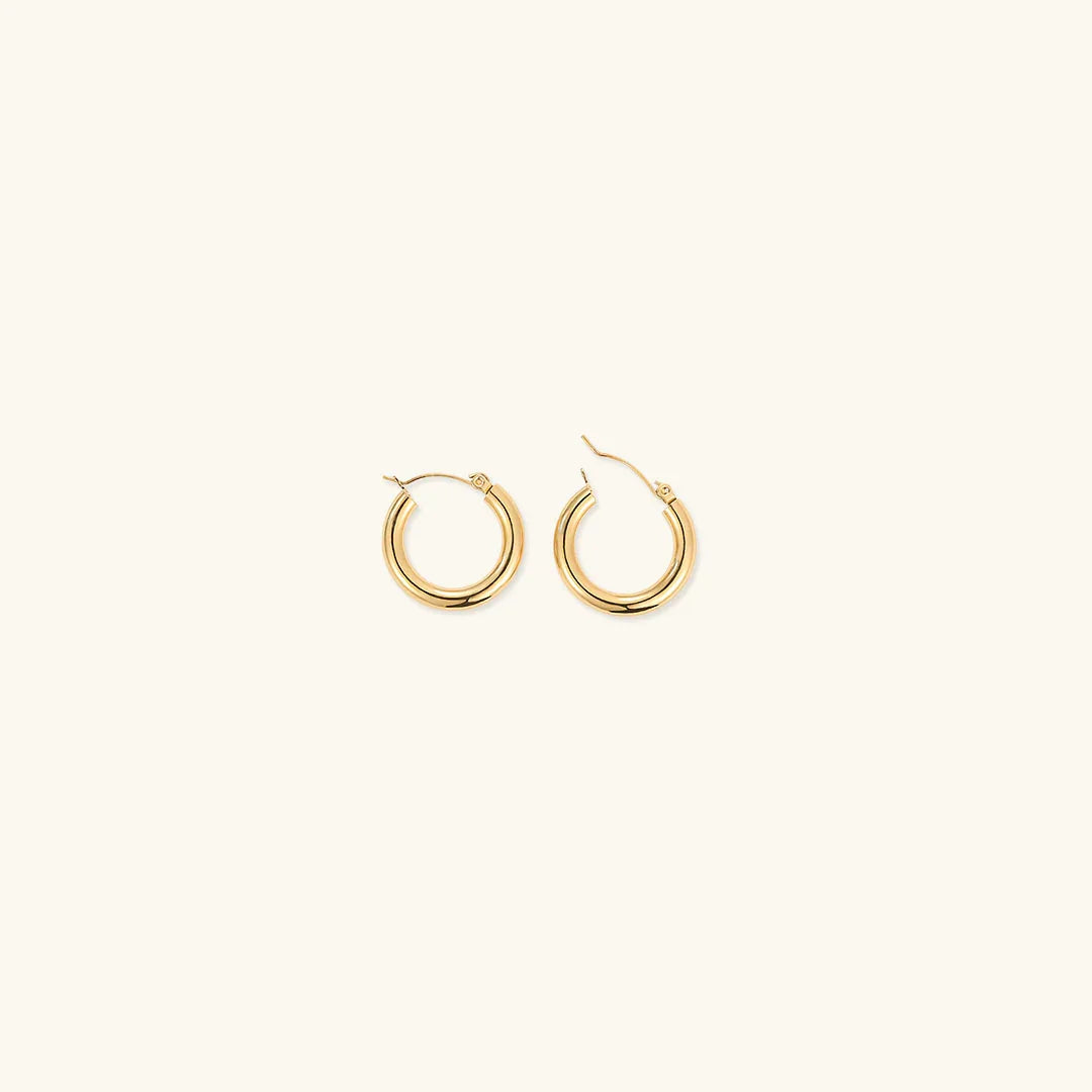 [AuraEcho]Broad Round Hoops