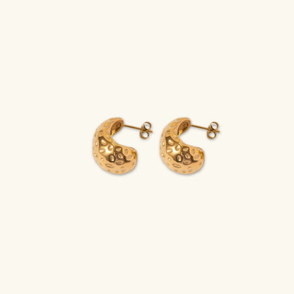 [AuraEcho]Eira Gold Earrings