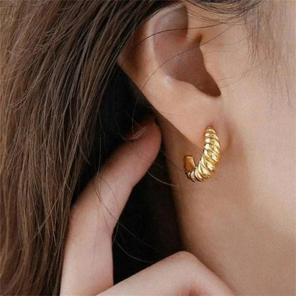 [AuraEcho]Croissant Arc Earrings