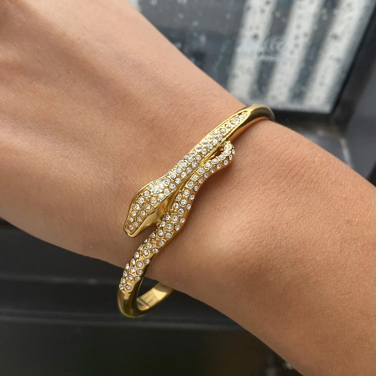 [AuraEcho]Rosalee Serpentine Diamond Bangle