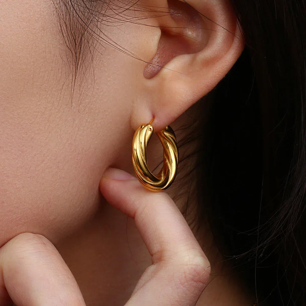 [AuraEcho]Denisse Twisted Hoop Earrings