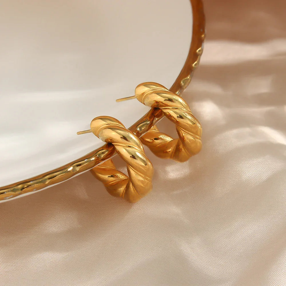 [AuraEcho]Naomi Twist Earrings