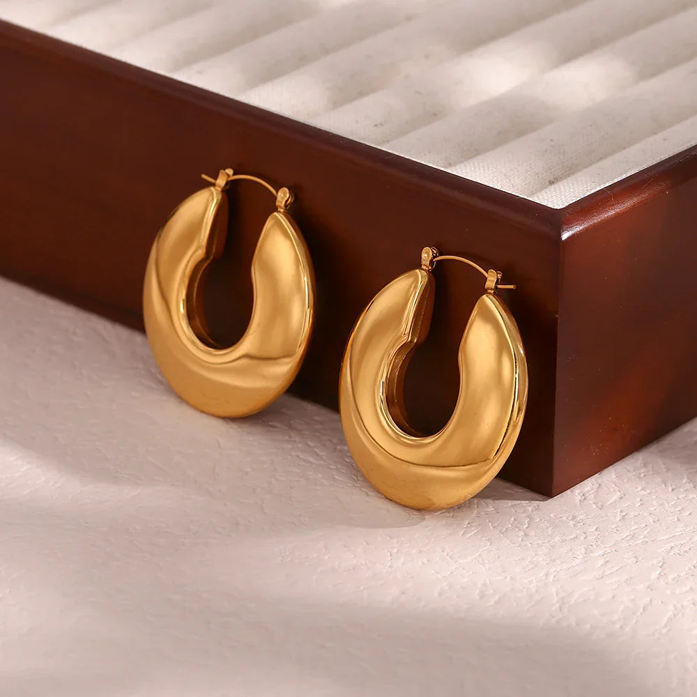 [AuraEcho]Kayleigh Chunky Hoop Earrings