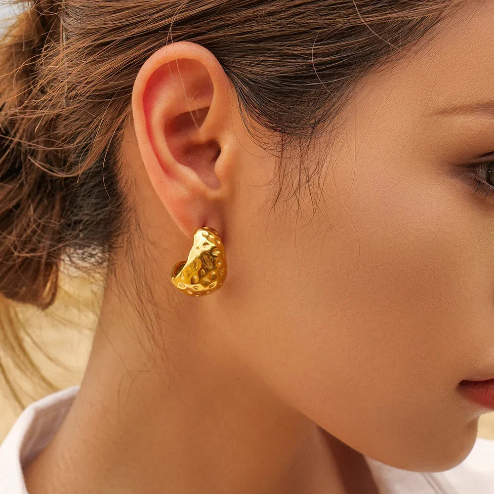 [AuraEcho]Eira Gold Earrings