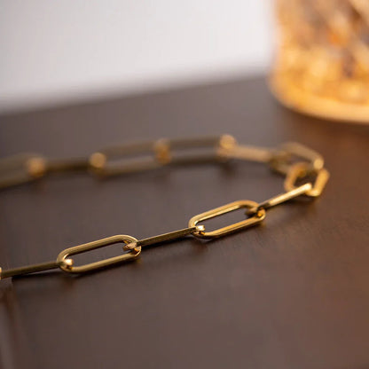 [AuraEcho]Ria Gold Paperclip Chain Necklace