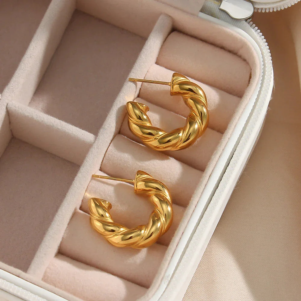 [AuraEcho]Naomi Twist Earrings