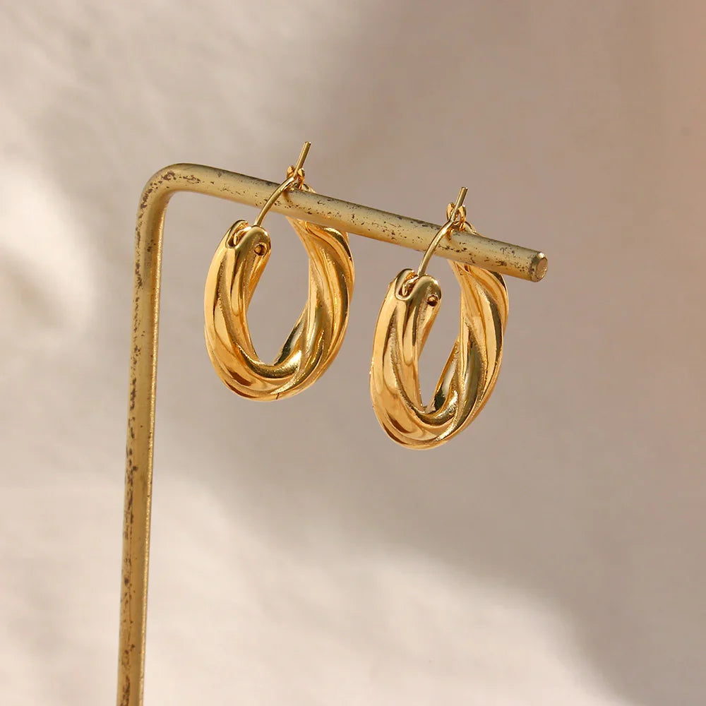 [AuraEcho]Denisse Twisted Hoop Earrings