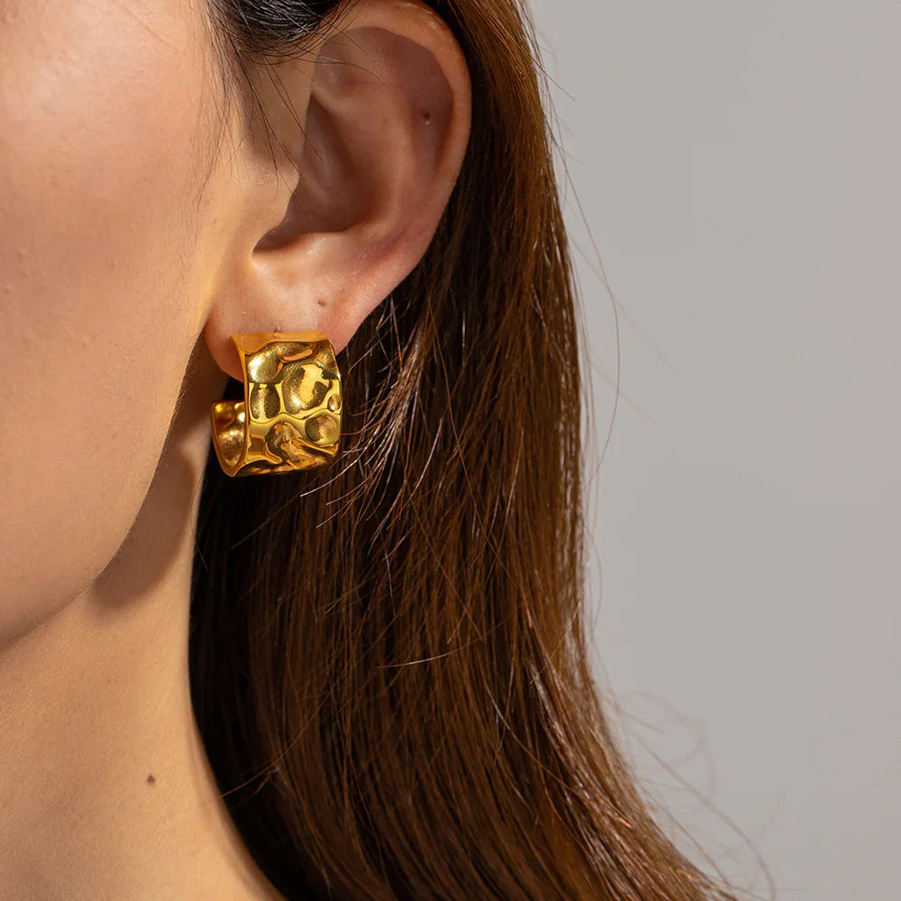 [AuraEcho]Jane Gold Earrings