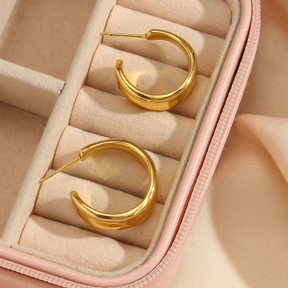[AuraEcho]Emily Wave Earrings