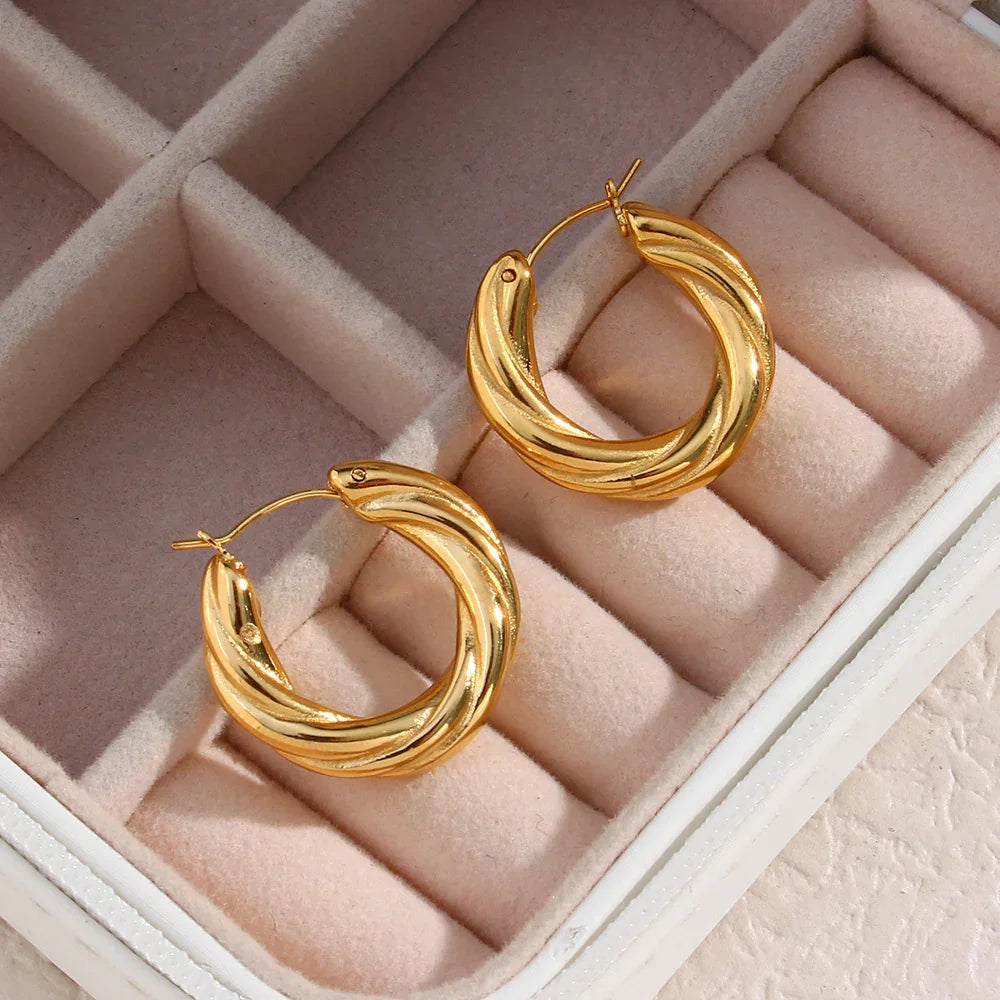 [AuraEcho]Denisse Twisted Hoop Earrings