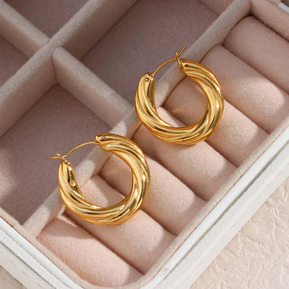 [AuraEcho]Denisse Twisted Hoop Earrings