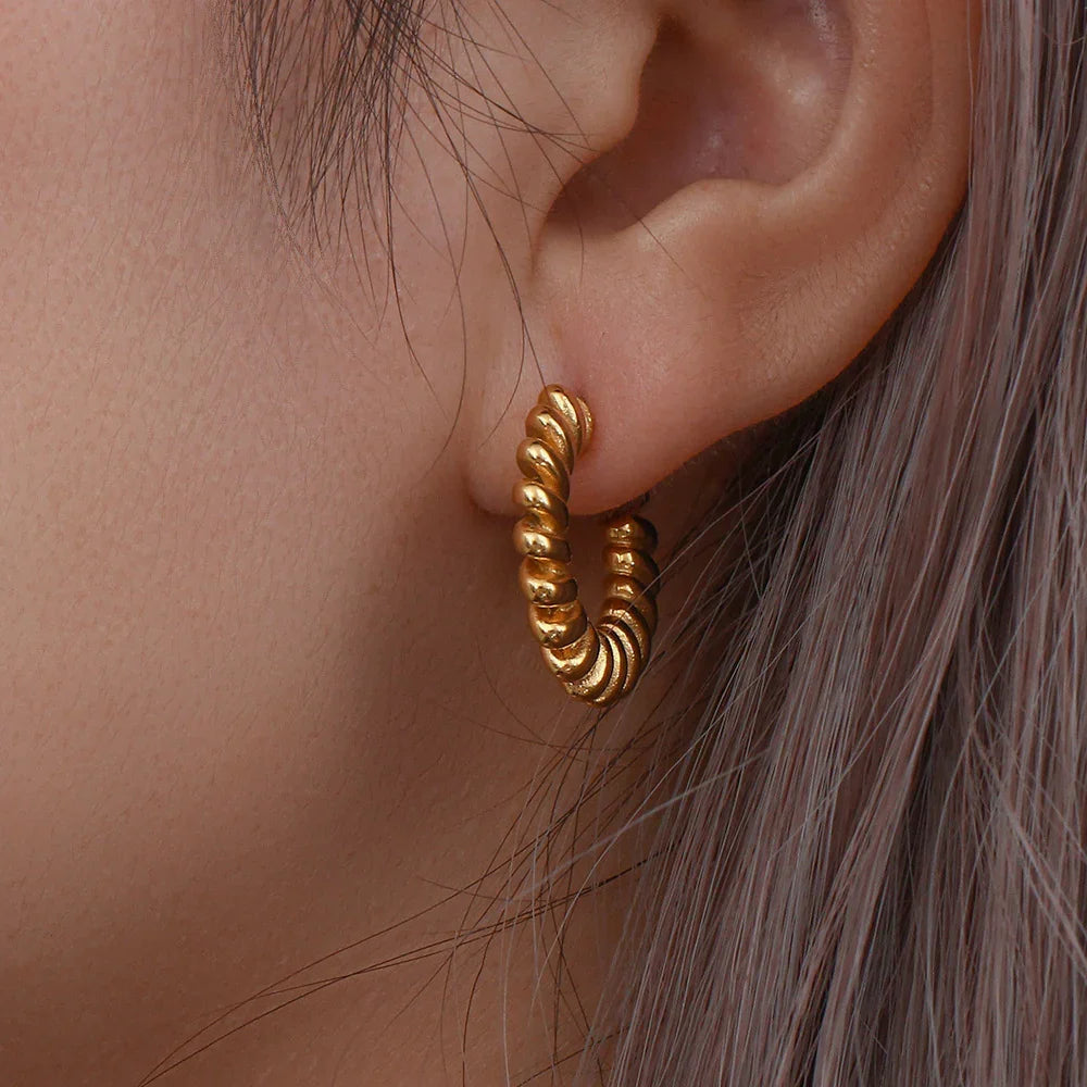 [AuraEcho]Brynlee Twisted Earrings