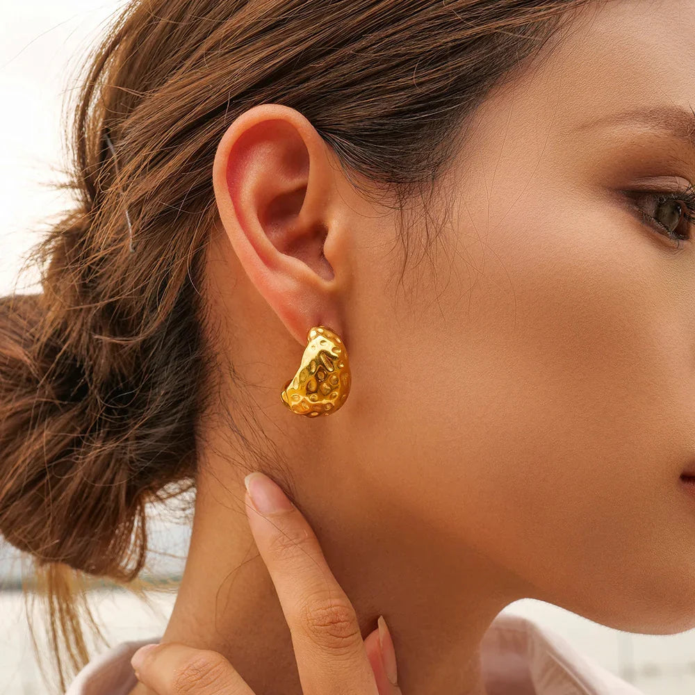 [AuraEcho]Eira Gold Earrings