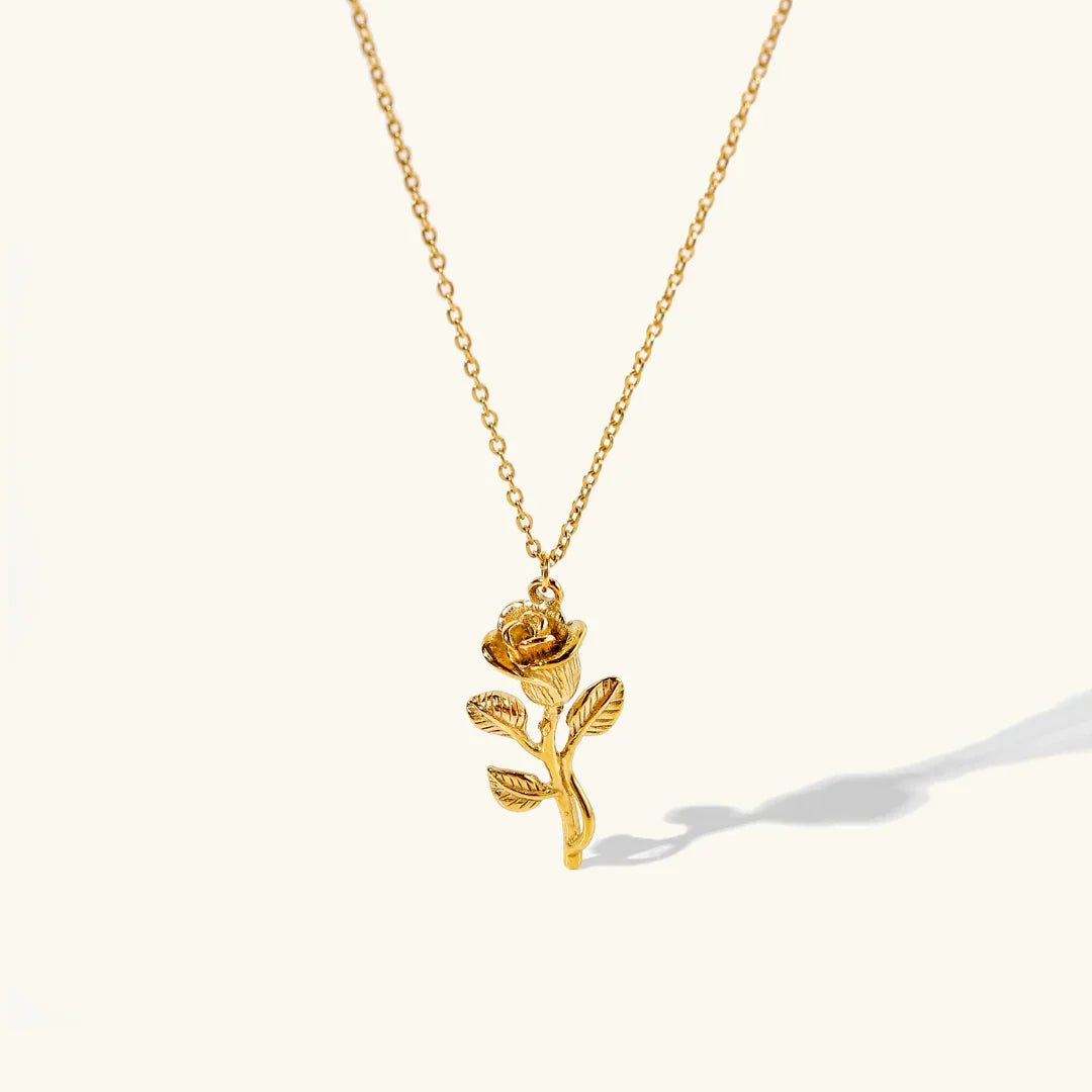 [AuraEcho]Celia Gold Necklace
