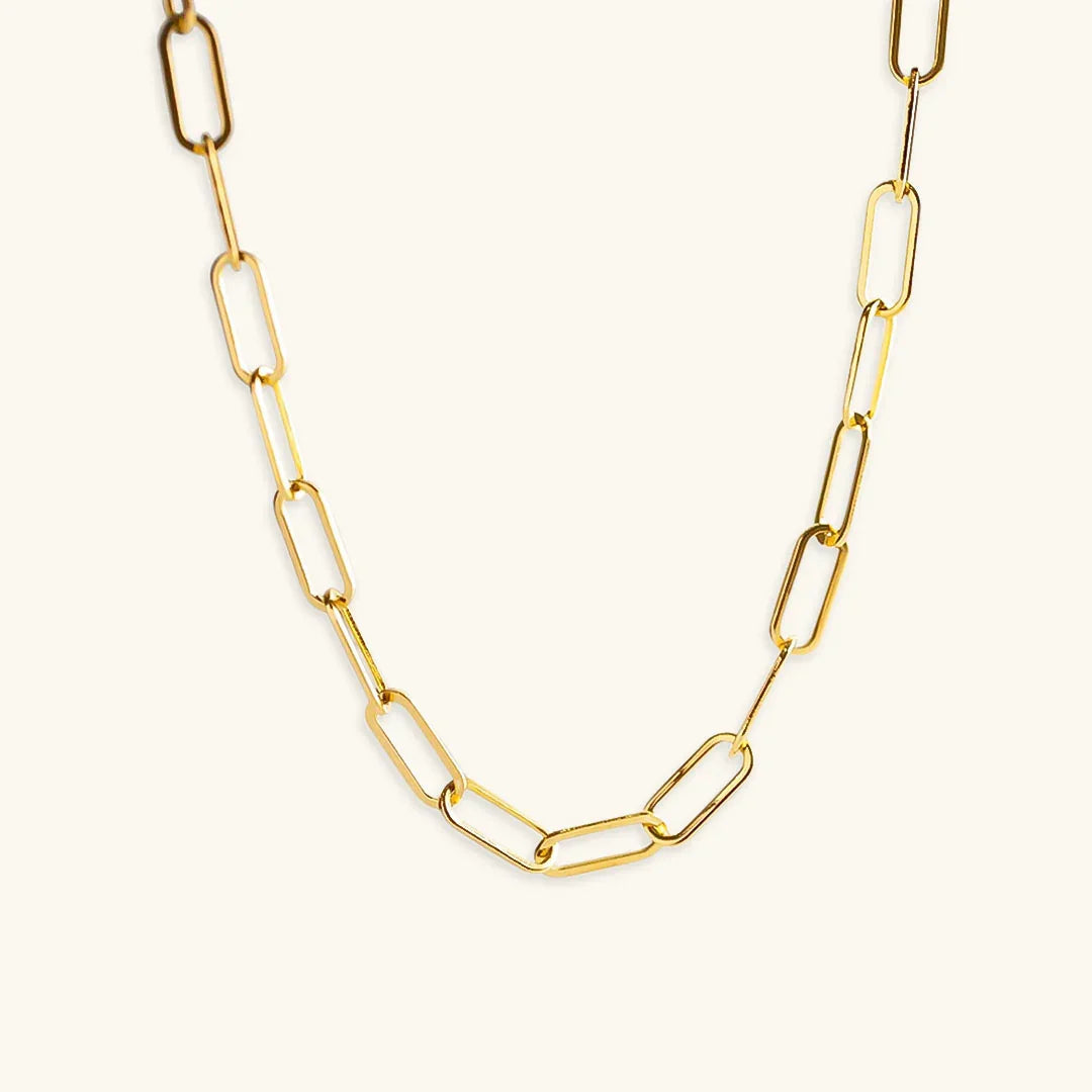 [AuraEcho]Ria Gold Paperclip Chain Necklace