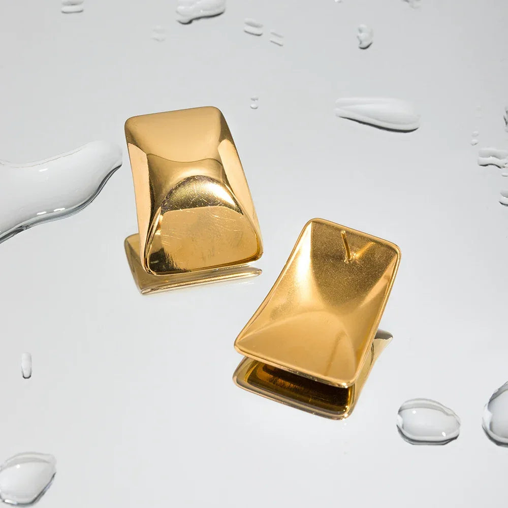 [AuraEcho]Elsie Gold Earrings